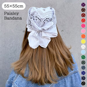  Iׂ16J[ 唻 55×55cm yCY[ o_i Y fB[X XJ[t yCY[ 傫  55cm    JWA Op nJ` AEghA obO ANZ