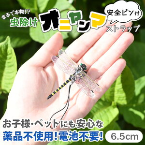 _{XEVENT^  ܂Ŗ{I Sst  Ij} Xgbv 6.5cm 悯 Q΍ JV ΍ ɂ g{ Ƃ tBMA L[z_[ u[` 