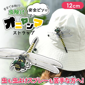 _{XEVENT^  ܂Ŗ{I SsNbvt  Ij} Xgbv 12cm 悯 Q΍ JV ΍ ɂ g{ Ƃ tBMA L[z_[ u