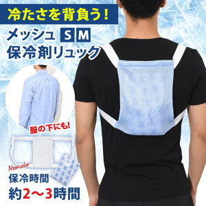 \本日店内EVENT/ 送料無料 冷たさを背負う!保冷剤付きメッシュクールリュック 保冷剤 背中用 冷感 冷却 冷たい ひんやり 密着 リュック用冷感パッド 暑さ対策 クールダウン 冷ます 長持ち