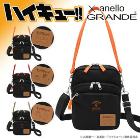 ＼本日店内EVENT／ 送料無料 anello GRANDE アネログランデ ハイキュー!! コラボ 2way 撥水 ミニショルダーバッグ レディース メンズ 縦型 斜めがけ 大人 軽量 肩掛け 手持ち 烏野高校 音駒高校 梟谷学園高校 メール便