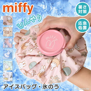 _{XEVENT^  ~btB[LN^[ACXobO XX X̂ Ђ傤̂ ACVO X|[c St 싅 oXP M pObY MǑ΍ ΍ O miffy ACX