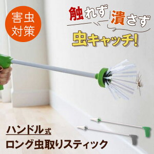 G炸ߊlInhOXeBbN  ߂ Lb`[ 莝 XeBbN O  nh ^b` Obv ߊl ߒ   ߊl Q 쏜 Q