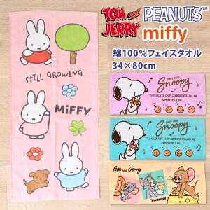 _{XEVENT^  LN^[100tFCX^I  _炩  RpNg Rbg100 q Xk[s[ ~btB[ gƃWF[ ObY LbY q ۈ牀 c