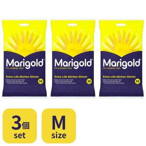 }[S[h S Lb`p  F 1o 3Zbg S M eTCY CG[