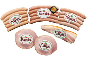 y①zR1-܋܃Zbg {}X^[h25gyz