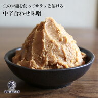 麹菌が生きた生の米麹から作った中辛の無添加米みそ900g 少量 お試し 味噌 無添加 国産大豆 100% お湯に…