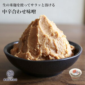 ۂ̕čh̖YĂ݂ 770g X Y哤 100% ɂƗn܂₩ȍ킹X X Y Ȃ̓X EE؂̖XЂ Mtg v[