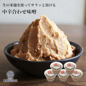 ۂ̕čh̖YĂ݂ 770g 5 X Y Y哤 100% ɂƗn܂₩ȍ킹X Ȃ̓X EE؂̖XЂ X Mtg v