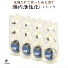 米麹だけで作ったあま酒 250g×12 (3000g) パウチ入り 国産の米麹だけで発酵させた砂糖不使用ノンアルコールの甘酒 麹 腸内活性化 腸活 免疫力 ギフト プレゼント 贈り物 お中元 お歳暮
