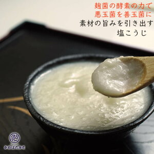 ۂ̍yfՂ̉ 250g 5 pE` Mtg v[g 蕨  Ε