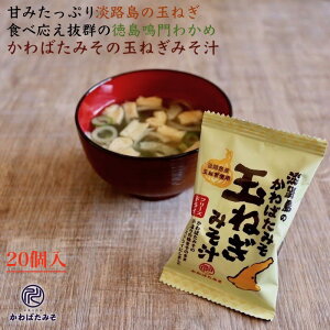 WHYʂ˂̑ȃt[YhC X` 1H9.2g 20 WHʂ˂ 킩 WĤyY Ε ~Mtg v[g 蕨  Ε 