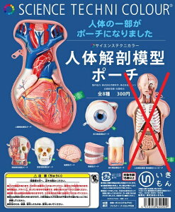  TCGXeNjJ[ l̉U͌^|[` K`K` 7Zbgim[}Rvj