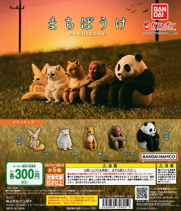 o_C ܂ڂ K`K` S5ZbgitRvj