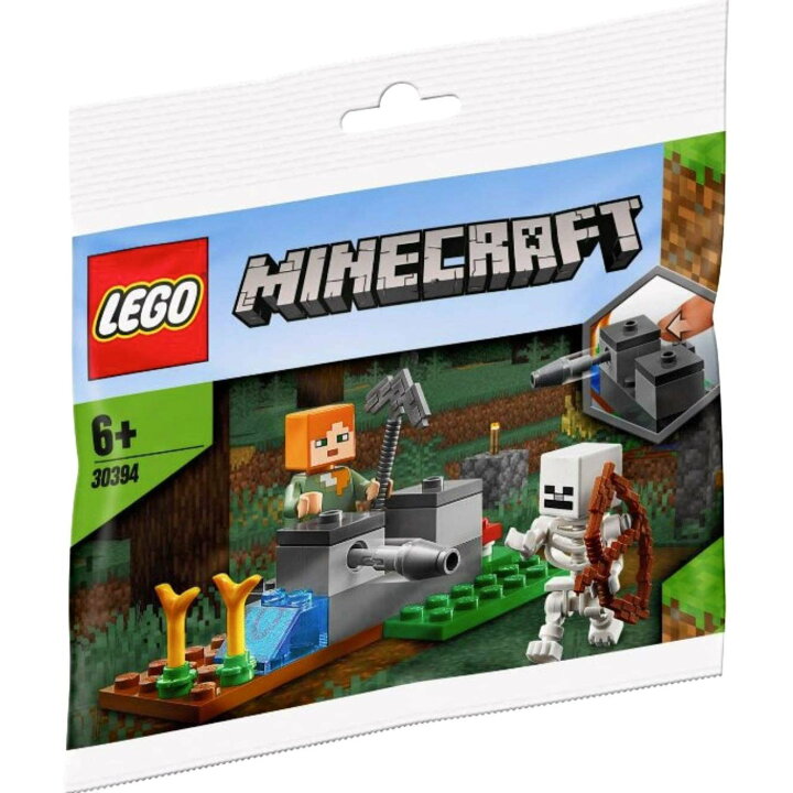レゴ マインクラフト アレックスとスケルトン ミニセット LEGO MINECRAFT Alex Skeleton 30394  ついばみ商店
