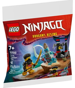 S jWS[ GƃhSjA̐킢 LEGO NINJAGO Arin vs. Dragonian Battle 30700