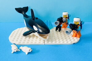 S ɃZbg LEGO Antarctic Set