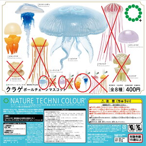 lC`[eNjJ[ MONO PLUS NQ {[`F[}XRbg 4Zbg