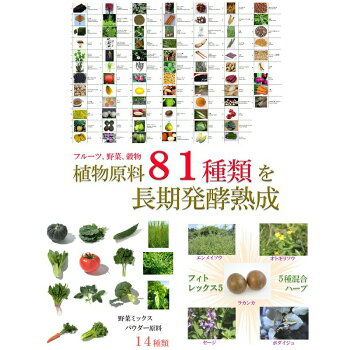 濃縮酵素サプリ(CoQ10配合)プレミアム酵素サプリ【600粒】大容量【売れ筋】【ダイエットdietサプリ】【送料無料】人気ダイエット酵素サプリ