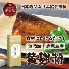 《公式》河内菌強力黄麹粉250g 麹パウダー 粉 麹 河内菌 酵素 甘酒 料理 アレンジ パウダー ごはん ご飯 玄米 肉料理 肉 魚料理 魚 健康 国産 安心 米麹