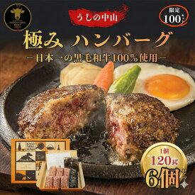 《公式》 うしの中山　極みハンバーグ 120g 6個セット 厳選された中山の黒毛和牛肉を100%使用。 牛肉 和牛 黒毛和牛 ハンバーグ ギフト 肉 牛 簡単調理 特製　人気 お取り寄せグルメ 和牛 惣菜 高級
