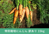 【常温便送料無料】洗いアロマレッドにんじん 15kg B級品【訳あり】【人参ジュースに!!】【産地直送】