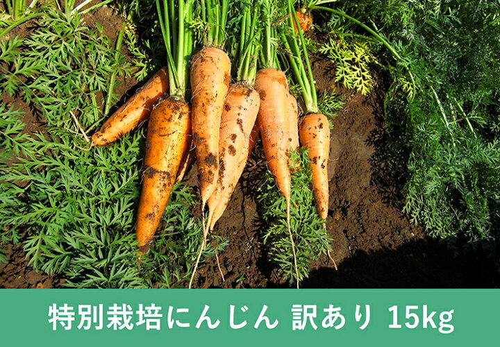 楽天市場 常温便送料無料 訳あり 北海道産 洗いにんじん 15kg B級品 人参ジュースに とかち河田ファーム