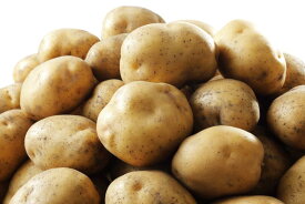 【常温便送料無料】黄金じゃがいも インカのめざめ 2Sサイズ 5kg 10kg 20kg【規格外ちょっと訳あり】