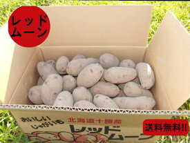 【常温便送料無料】北海道産 希少なじゃがいも レッドムーン LM-2Lサイズ混 10kg