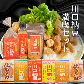 川口納豆 満喫 セット お試し 詰め合わせ 国産 宮城県産 大豆 大粒 小粒 中粒 ひきわり 納豆 乾燥納豆 納豆ふりかけ 納豆煎餅 送料無料 ふりかけ せんべい 煎餅