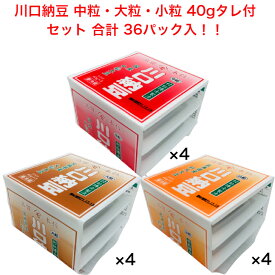 川口納豆 3種 セット 40g パック タレ 付き 国産大豆 宮城県産 大粒納豆 北海道産 小粒納豆 国産 大豆 送料無料
