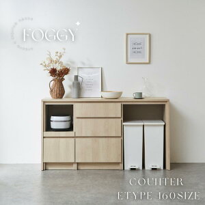 FOGGY カウンター 【Etype】 カップボード サイズ展開豊富 セミオーダー 160 サイズ キッチンカウンター ダストボックス スライドカウンター 幅160 メラミン素材 アイカ工業 アイカメラミン AICA