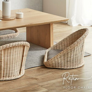 ^tA`FA NRS-425NA ֎q `FA tANbV ֎q CX `FA[ k ^  Vv i` JtF _CjO Ƌ Rattan floorchair ͌Ƌ쏊
