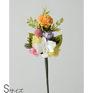 yz p vU[uht[ Ԃ̂ hCH  ފ STCY d 