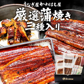 鰻3種4人前セット計485g(165g×1・110g×2・50g×2)上うな重・大丼用カット・きざみの3種詰め合わせたれ・山椒付き・ギフトボックス・冷凍配送・送料無料ウナギ うなぎ 蒲焼 お取り寄せ 贈り物 和風惣菜 土用丑の日