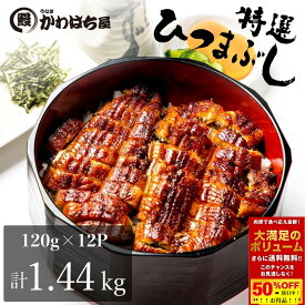 ひつまぶし12人前 ポイント20倍バック中保存がきく 便利 小分け 120g×12パック炊き込みご飯 チラシ寿し ウナギ 鰻 蒲焼 ギフト箱 冷凍 送料 グルメ 美味しいから 蒲焼 お祝いお返し ギフト 誕生プレゼント 定期便 土用丑の日 秋グルメ 大容量