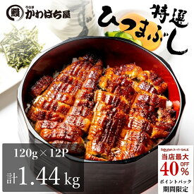 ひつまぶし12人前 小分け 120g×12パックうなぎ かわはち屋 炊き込みご飯 チラシ寿し ウナギ 鰻 蒲焼 ギフト箱 冷凍 送料 グルメ 蒲焼 お祝い お返し ギフト 誕生日プレゼント 定期便 土用丑の日 秋グルメ 大容量
