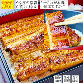 うなぎ蒲焼 店初めて方 3,330円鰻 この値段3人前食べる 始めてお惣菜プラス 感動する旨いを届け長165g 切り落し100g キザミ1P2セット▲500円 3セット▲1,000円非常食 お祝い 自家用 送料無料 母の日 プレゼント ギフト