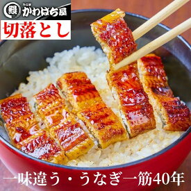 うなぎ 訳あり 切り落とし うなぎ蒲焼 実用 うなぎ茶漬け 炭火100g×8P 非常食 保存食 形は悪いが 味良し 実用的 チラシ寿炊き込み 専門店 炭火 勢力 精力 調理便利 食べ物 送料負担 母の日 プレゼント ギフト