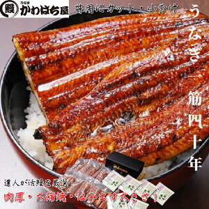 嘥pJbg20lO/v2,800g(140g×20)ʏ1.3{BX̖ŎyɊy߂܂BERtEMtg{bNXEⓀzEEiM Ȃ   蕨 ay