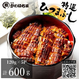うなぎ ひつまぶし5人前 小分け 120g×5Pかわはち屋 定期便 鰻 冷凍 うなぎ ウナギウナギ 鰻 蒲焼 グルメ 内祝い お返 ギフト大容量 美味しい お祝い お歳暮 お年賀誕生日プレゼント 味覚 レビュー 土用丑日