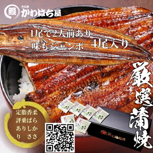 ͂ W{4lO 220g×4^ Ղy߂ ʏ̔{ Ⓚ ERt Mtg hV Ȃ   蕨 ypN̓