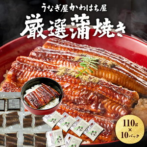VpJbg10lO 1,100g 110g×10X̖ ōČ yɊy߂ipbN Mtg{bNX Ⓚ zȂ   蕨 ay ypN̓  hV̓ 