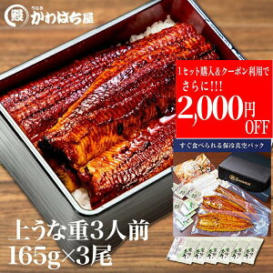 イȏd3lO/v495g(165g×3)Ŏ̂ʏ1.5{̖TCYƉiő] M ԋۏႽRt Mtg{bNX ⓀzEiM Ȃ   蕨 y
