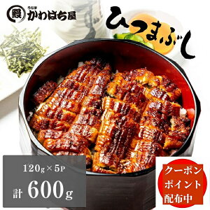 Ȃ Ђ܂Ԃ5lO  120g×5P͂ yVȂ Ⓚ Ȃ EiMe  j Ε NEiM V  O j  Mtgav[g ]