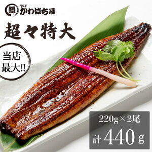 W{2lO/v440g(220g×2)Ղy߂ʏ2{̒TCYERtEMtg{bNXEⓀzEEiM Ȃ   蕨 ay ypN̓ 