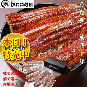イȏd10lO/v1,650g(165g×10) ̂ ʏ1.5{ TCYERt Ⓚz Ȃ   蕨 ay ypN̓  hV̓