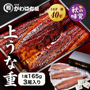 かわはち屋 うな重用 長焼き3人前真空P新鮮凍結 ドリップ無し 通常の1.5倍大い専門店と同じ原料鰻 専門店の味再現可満
