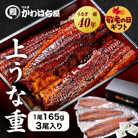 上うな重 3人前 計495g 165g×3尾 かわはち屋 通常の1.5倍 大きめ満足サイズ レビュー多数 うなぎ鰻ウナギ蒲焼専門店の味 贈り物 プレゼント ギフト お中元 内祝い 誕生日 お返し 送料無料 土用丑の日 父の日
