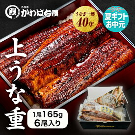 【サマーギフト・お中元】上うな重 6人前 計990g 165g×6尾 かわはち屋 通常の1.5倍 大きめ満足サイズ たっぷり楽しめる大容量 高評価レビュー うなぎ鰻ウナギ蒲焼専門店の味 贈り物 プレゼント ギフト お中元 誕生日 送料無料 土用丑の日 父の日